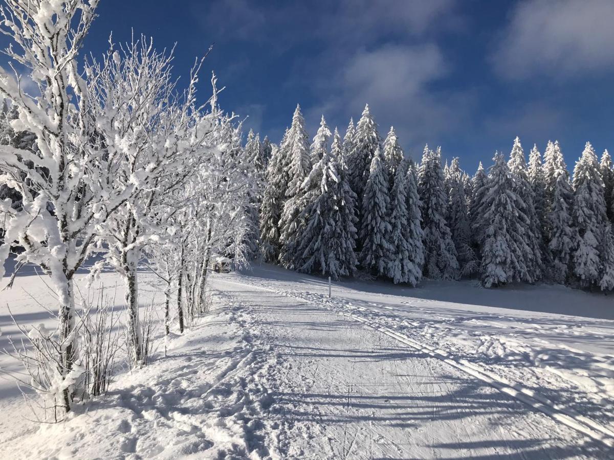 Hoehengasthaus Kolmenhof An Der Donauquelle Furtwangen Exterior foto