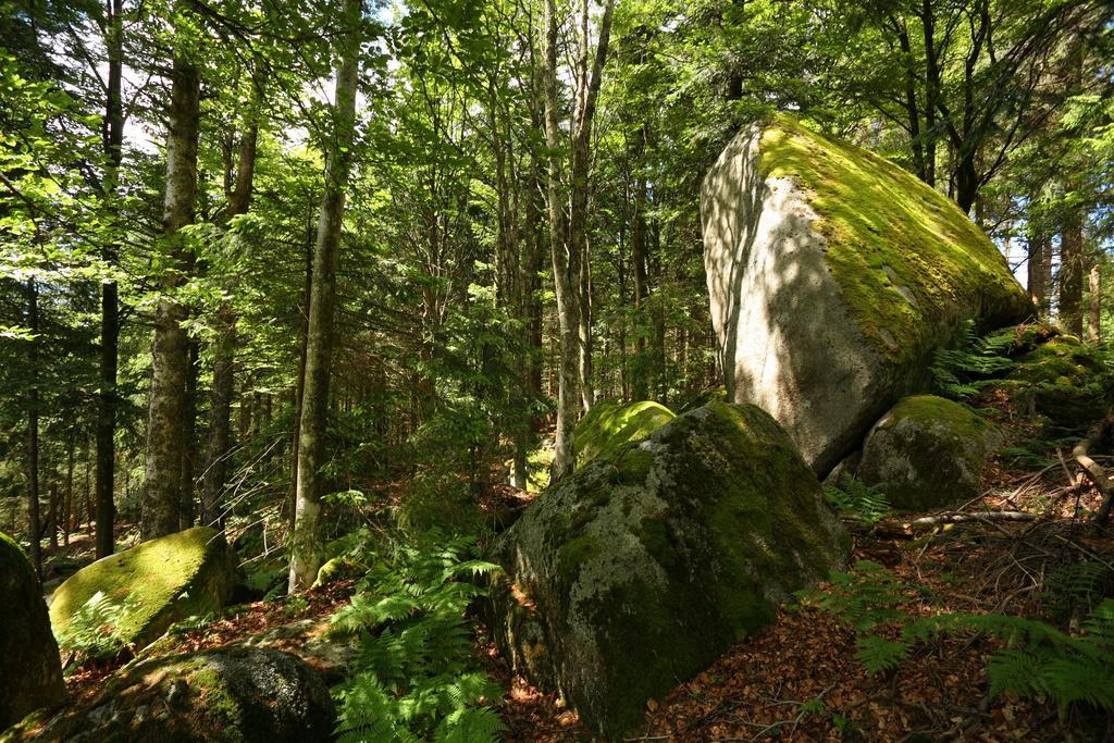 Hoehengasthaus Kolmenhof An Der Donauquelle Furtwangen Exterior foto